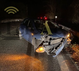 Incidente a Castel di Sangro sulla Fondovalle Sangro: utilitaria contro animale, conducente illeso