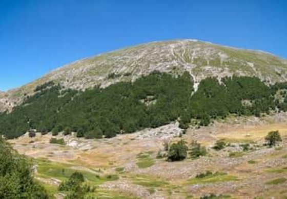 Camminiamo la biodiversità, confermati i cambiamenti climatici sugli ecosistemi di alta montagna