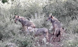 A Civitella Alfedena il coronavirus si annienta con l'ottimismo, pronta a decollare la stagione turistica