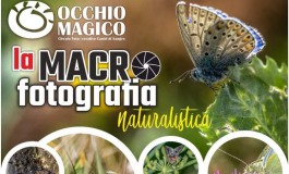 Macrofotografia naturalistica, a Castel di Sangro il circolo Occhio Magico torna con un nuovo appuntamento