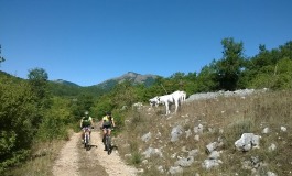 Al via le iscrizioni per la 'Mainarde bike tour'