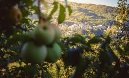 Prima festa della mela a Castel del Giudice: domenica 14 ottobre