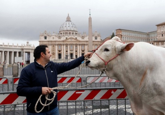 Allevatori abruzzesi e molisani a San Pietro per festeggiare Sant'Antonio