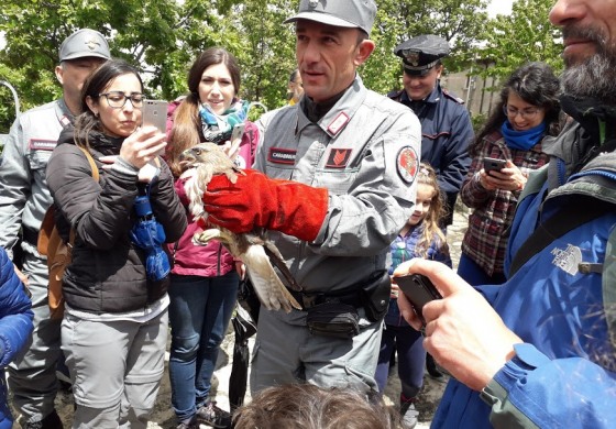 Oasi Wwf Guardiaregia - Campochiaro, grande festa nella riserva regionale molisana