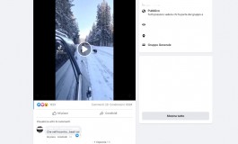 Orsa con cuccioli a Pescasseroli ma il video è stato girato nel parco di Yellowstone