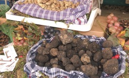 Di scena il tartufo molisano in cucina a Roma, Pescara e Frosolone