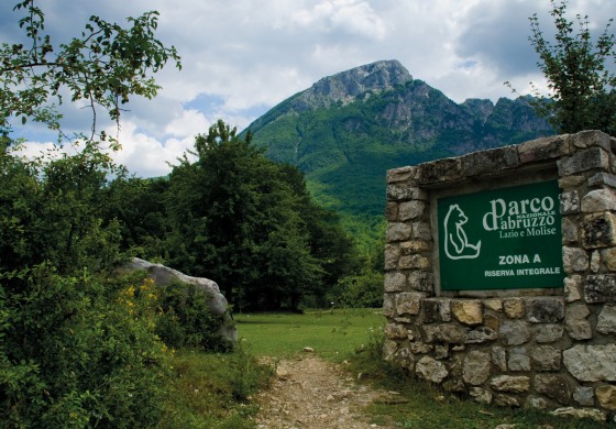 Pnalm, al via la presentazione delle domande per il contest fotografico: una sfida a colpi di click per valorizzare e proteggere il patrimonio della biodiversità