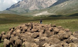 Pescocostanzo, a spasso con i pastori per rievocare la transumanza