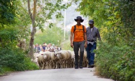 A piedi per il tratturo Castel di Sangro - Lucera. Si parte il 30 agosto