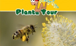 "Plantatour", natura in festa a Bagnoli del Trigno:  domenica 2 giugno