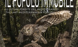 Pescasseroli, Wwf Abruzzo presenta il libro di Cambone - Isotti "Il popolo immobile. Le ultime foreste del Mediterraneo"