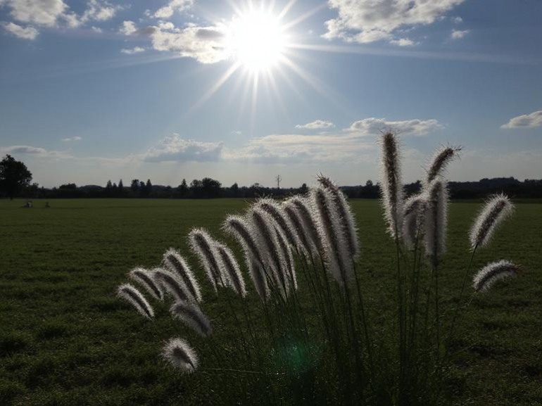 Previsioni Meteo per giovedì 20 marzo: cieli sereni e temperature fino a 13°C