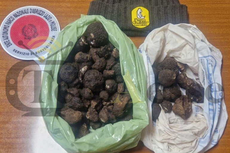 Tartufo nero uncinato: intensificati i controlli nel Parco Nazionale contro la raccolta non autorizzata