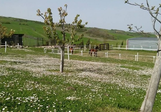 1° Corso di sopravvivenza alle Scuderie del Peschio: "Non sfidare la natura, sfida te stesso"