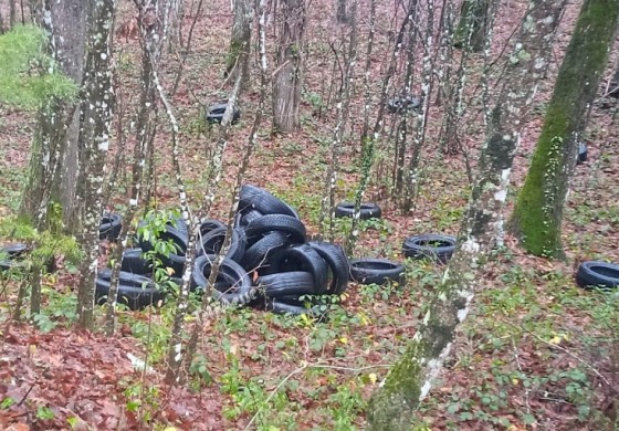 Smaltimento pneumatici usati, il "coglionazzo" li abbandona nel bosco