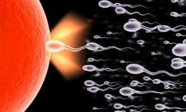 Tutti giù per terra: spermatozoi dell'Alto Sangro, unitevi!