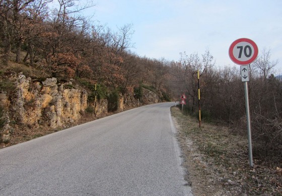 'Salviamo l'Orso': " si rispettino i limiti di velocità sulle strade del Pnalm"