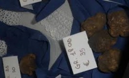 San Pietro Avellana, multe salatissime alla fiera nazionale del tartufo