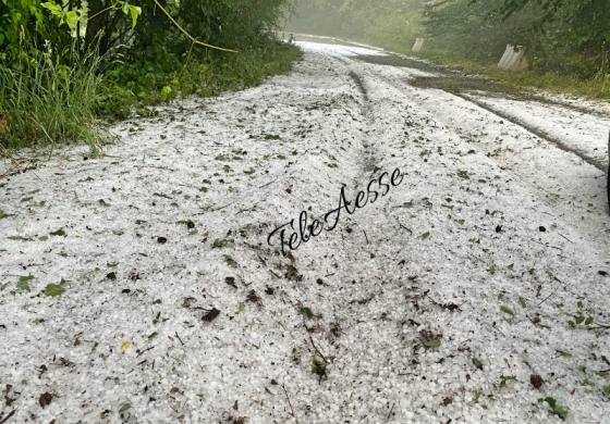 Tempesta di grandine in Alto Sangro e Alto Molise, la vegetazione è stata distrutta