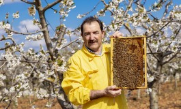 Il miele abruzzese sbanca a Singapore con l'apicoltura Luca Finocchio