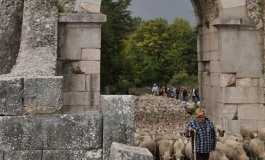 Dall'Associazione molisana 'Transumando' la solidarietà ai pastori della Sardegna