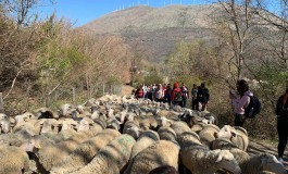 Anversa degli Abruzzi, al via le prenotazioni per la transumanza 2019