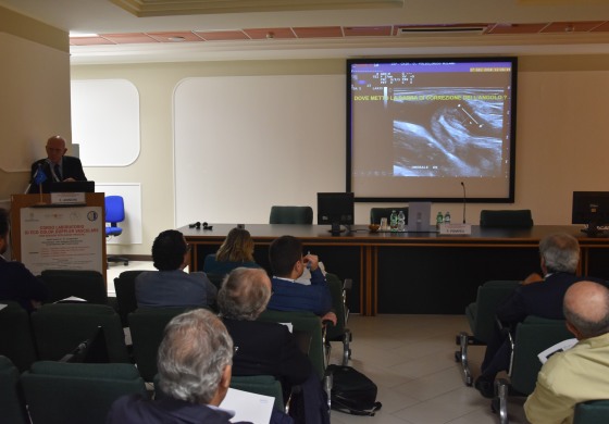 Al Neuromed un corso per perfezionare le tecniche dell'esame eco-color doppler