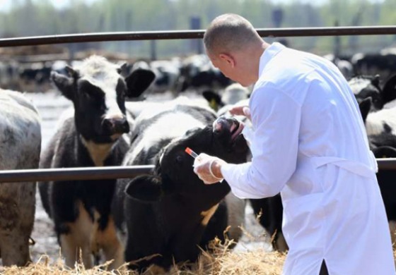 Asrem, organici precari. Coscienza Civica: "A rischio le aziende agricole"