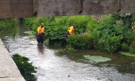 Castel di Sangro, due cani finiscono dentro al fiume: salvati dai Vigili del Fuoco