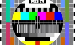 L'opinione - Le web tv scalzano i media tradizionali