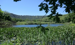 Giornata mondiale delle zone umide, visita guidata all'oasi Wwf delle Gole del Sagittario