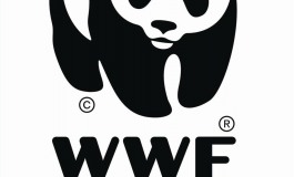 Wwf Molise sensibilizza al clima e lancia campagna "Ora Polare"